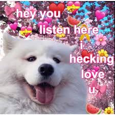𝙥𝙞𝙣𝙩𝙚𝙧𝙚𝙨𝙩 𝙖𝙗𝙞𝙜𝙖𝙞𝙡 𝙢𝙤𝙤𝙙𝙮 Cute Love Memes Love You Meme Wholesome Memes