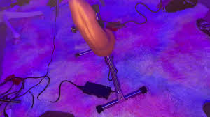 @ellaexplicits video Tweet