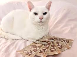 Guys, Girls, People of the higher standard of life, Animals or however you  class yourself :-) This is the 1st club stand I have been left in charge  with, so, don't be