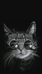 Wallpaper engine wallpaper gallery create your own animated live wallpapers and immediately it is recommended to browse the workshop from wallpaper engine to find something you like instead. Oshibki V Otnosheniyah Cat Phone Wallpaper Animal Wallpaper Cat Pattern Wallpaper