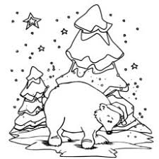 Exclusive artistic illustrations for fans of all ages smith, anna on amazon.com. Top 10 Free Printable Polar Bear Coloring Pages Online