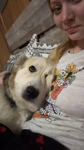 Who is a good pet groomer in Paducah?