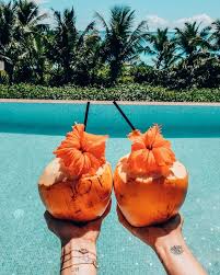I Am Loving These Summer Vibes With Images Summer Drinks Summer Aesthetic Coconut