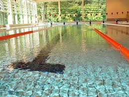 Piscine A Commentry Horaires Tarifs Avis Telephone Piscine Piscine Municipale Pataugeoire
