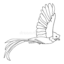 Prepare yourself for some coloring fun with free printable coloring pages. Quetzal Bird Stock Illustrations 132 Quetzal Bird Stock Illustrations Vectors Clipart Dreamstime
