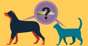 The aaha universal pet microchip lookup site searches many of the leading pet microchip registries to aid in pet recovery by showing the user which registries have microchip registrations for a particular microchip id. 6 Times When Microchipping Won T Help Walkerville Vet