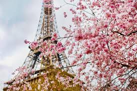 We did not find results for: The Best Cities In The World To See Cherry Blossoms