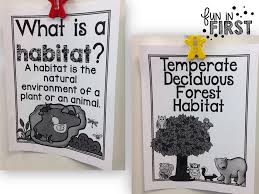 A habitat is the home of an animal or a plant. All About Habitats Fun In First