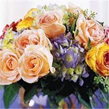 Knots landing is an american prime time television soap opera that aired from december 27, 1979, to may 13, 1993. Phillip S Flowers Gifts Chicago Suburbs Westmont Il Wedding Flowers
