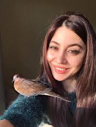 How to discourage a dove from laying eggs?