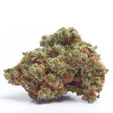 Obtaining seeds appears to be very easy but be sure it is legal in your jurisdiction. Gorilla Cookies Sind Ein Traum Aus Der Growerschoice Zu Rauchen Und Zu Wachsen