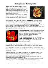 Im ersten abschnitt sagt die autorin, dass jetzt nicht mehr aus langeweile schule geschwänzt wird. Fruhbluher In Der Grundschule Tulpe Sachtexte Fruhlings Tulpen Werkstatt Fruhling Jahreszeiten Hus Klasse 2 Grundschulmaterial De