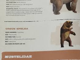 Image result for Dark Gray 1983 Caloric