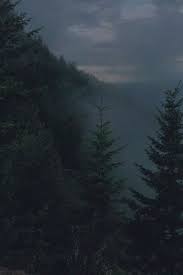 Check spelling or type a new query. Pin By Lights On Pejzazhi In 2020 Nature Aesthetic Forest Wallpaper Aesthetic Backgrounds
