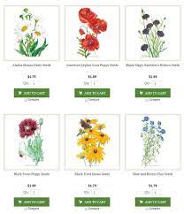 Check spelling or type a new query. 25 Annual Perennial Flower Seeds To Sow In Fall Printable List