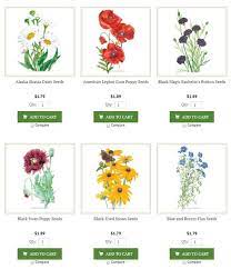 It's cheap, it's fast, and the plant itself looks great. 25 Annual Perennial Flower Seeds To Sow In Fall Printable List