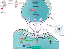 A Brief History Of Antidepressant Drug Development From Tricyclics To Beyond Ketamine