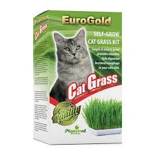 Eurogold Kedi Cimi Kedi Yavru Kediler Tuy