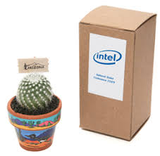 How to make holiday gift tags 2 ways with cricut. Live Cactus And Mini Cactus Favors Promotional Gift