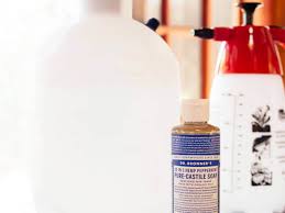 Want to know how to apply insecticides around your home yourself? Get Rid Of Pests With This 2 Ingredient Homemade Insecticide Garden Betty