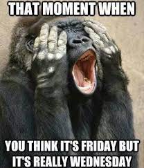 Funny jokes for monkey about funny monkey jokes for adults of all the time,short best dirty monkey jokes one liners for you ever,best monkey jokes and riddles. Its Only Wednesday Wednesday Memes Monkeys Funny Wednesday Humor