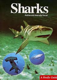 See what antonella ferrari (antonellaferrari0789) has discovered on pinterest, the world's biggest collection of ideas. Shark Books