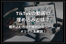 埋め込み と は