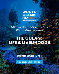 World oceans day reminds every one of the major role the oceans have in everyday life. Blancpain Presenting Partner To United Nations World Oceans Day 2021 Watch I Love