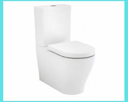 Best caroma toilet reviews 2020. How To Fix A Leaking Caroma Dual Flush Toilet Cistern