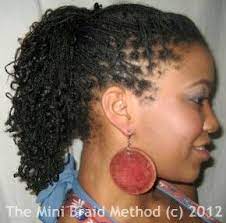 Mini Braids Braiding Your Natural Hair Without Extensions Tresse