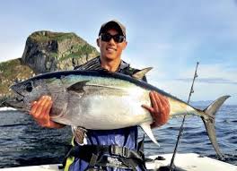Tuna Fishing And Other Game Fishing