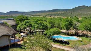 Garden Route Safari Camp In Brandwag Best Price Guaranteed