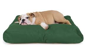 Best materials to look for in a durable dog bed. Indestructible Dog Beds 9 Tough Beds For Your Chew Tastic Dog