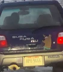 images?q=tbn:ANd9GcTfKvpyEvExxj4Ful5afy9