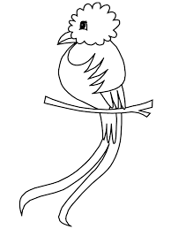 Click any coloring page to see a larger version and download it. Cartoon Pictures Of Parrots Coloring Home
