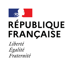 Apprentis lecteurs et scripteurs adultes. Home Institut Francais