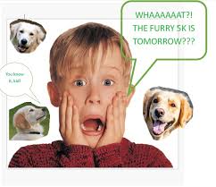 Central Jefferson Chiropractic