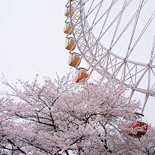 Pin On Ferris Wheels