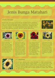 Looking through my photos, it is amazing. Jenis Bunga Matahari Pojok Kampungmentari