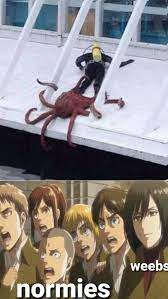 Anime Diet I Ve Seen Enough Hentai To Know Where This Is Going Facebook