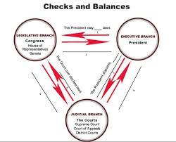 Checks Balances Lesson Regina Santangelosportfolio