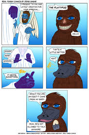 Image result for Platterpus