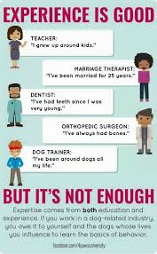 Pin By Amy Lamb On Id Work It Marriage Therapist Dog Training Tips Dentist