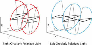 Representation of right- and left-handed circular polarized light ...