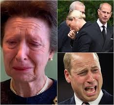 30 MINUTES AGO! Prince William Summons Harry Back in the Middle of the  Night After Kensington Palace Announces “A Tragedy Has Occurred”: “Sorry  for Keeping It from You…” 👇👇