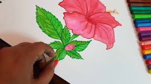 How To Make Hibiscus Flower Step By Step Gudhal Ka Phool In Hindi Youtube 🌱 a small project by ben moren: how to make hibiscus flower step by step gudhal ka phool in hindi
