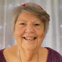 Connie Sue Vogt Obituary