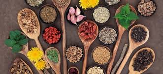 Alcuni alimenti danno benefici diretti a questo organo, aiutandolo nella sua funzionalità. Fegato Rimedi Naturali Per Depurarlo E Curarlo