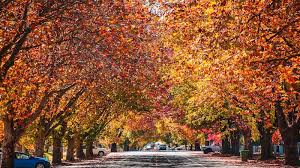 Orange is a city in the central tablelands region of new south wales, australia. Is Orange Nsw Worth A Visit Mia S Travel Memoirs