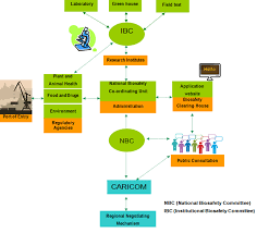 Biosafetyintt